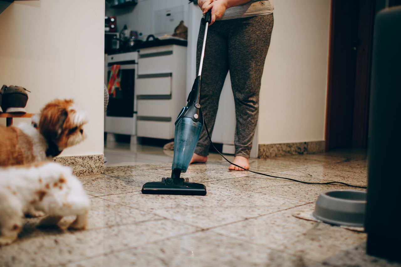Une femme nettoie le sol avec un aspirateur tandis qu’un chien observe attentivement. Décor intérieur domestique.